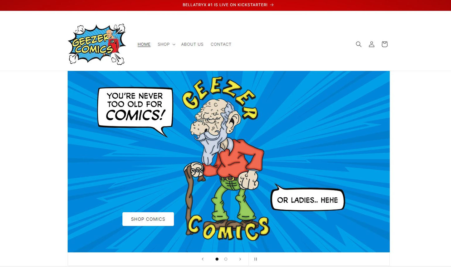 Shopify Consultation & Training